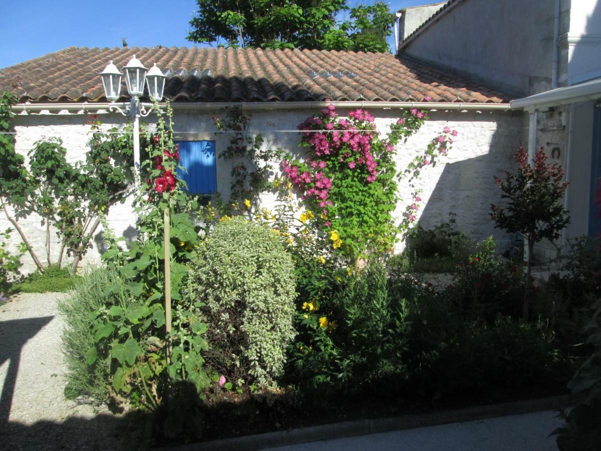 Maison Confortable WI-FI Animaux oui Marennes  Extérieur photo